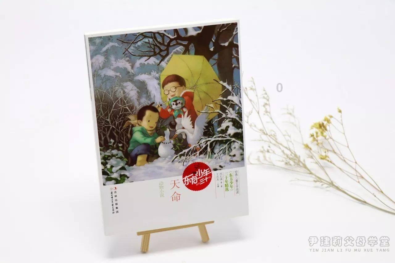 TFboys双人排球